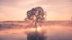 居里夫妇对著名通灵人的奇特研究(图)