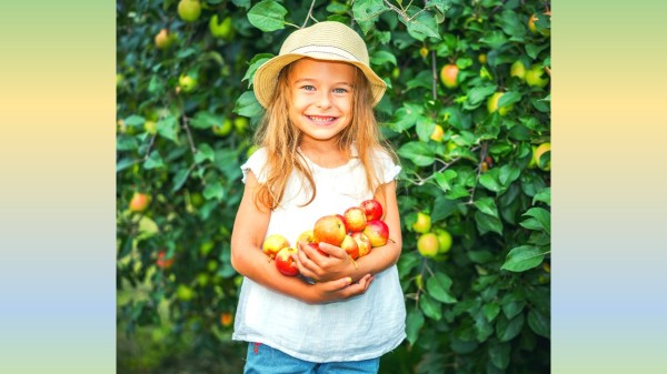 蘋果富含果膠，能降低血液中膽固醇含量，預防脂肪聚集。