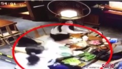 妻子和男同學吃飯丈夫潑滾燙火鍋(視頻)