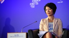 央視女主播劉欣抱怨男客不幫取行李引爭議(組圖)