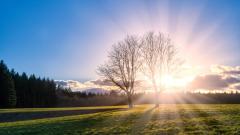 物理学家看到由光构成的生命体(图)