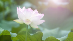不必羨慕和仰望別人學會珍惜眼前的幸福(組圖)