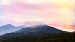 異人奇事聞所未聞(圖)