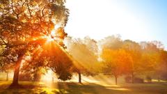 神學博士瀕死體驗在天上遇見神(圖)