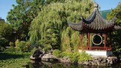 元神进入另外空间的奇梦(图)