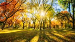 催眠中記憶起86次輪迴經歷(圖)