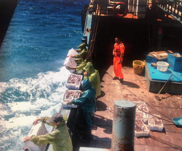 船上有渔获300公斤，巡防人员依法海抛。