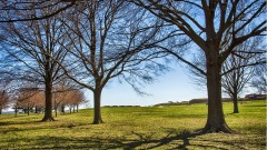 美国国家公园流通纪念币人文常识（四）(组图)