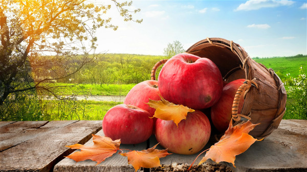 蘋果等富含纖維素的食物有助於降低結直腸癌和2型糖尿病的風險。