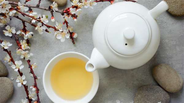 綠茶含有可加速代謝、促進脂肪燃燒的活性成分。