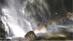 书生邪念未彰之际禁足室内才得中榜(图)