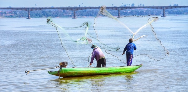 美國亞洲鯉魚成災？華裔女商人打造出一條產業鏈