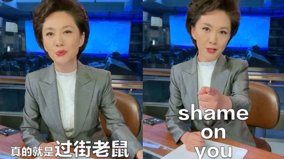 央视主播海霞在节目中辱骂部分港媒记者如“过街老鼠”