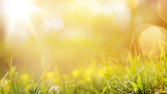 让却风水宝地最终各得福报(图)