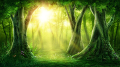 洞中方一日世上已千年一盏茶过了十二年(图)