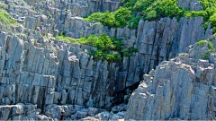 危害于他人者报应必返己身(图)