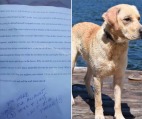 拴在門口的狗離奇失蹤主人之後收到「驚悚」字條(圖)