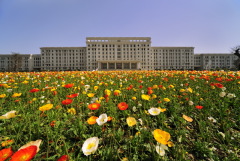 当大学生也开始举起“政治报复”的猎枪(组图)