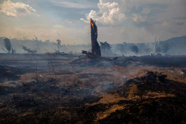 2019年8月27日，亚马逊森林被烧毁的区域。