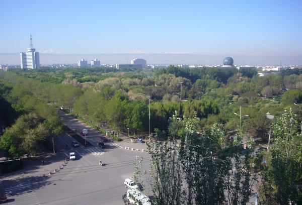 新疆石河子市曾是新疆生产建设兵团总部的所在地。