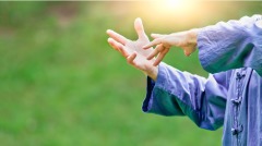 年轻小伙恃强凌老不料遇到内家高手(图)