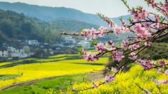 现代版桃花源记穿越另外空间(图)