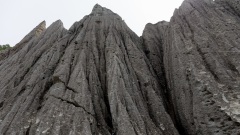 这些伤人性命者难逃因果报应律(图)