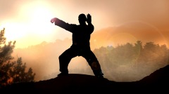 这个深藏不露的僧人原来是武林高手(图)