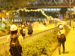 林郑玩火小心自焚(图)