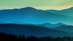 要当神仙先受考验(图)