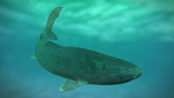 驚見1.8億年前史前巨鯊身形比潛艇大2倍