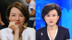 央視兩名主播的尷尬和潛因(圖)