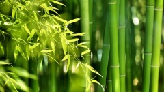 層次越低的人越喜歡花時間在這3件事上(圖)