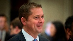 加拿大保守黨：勝選後將禁華為撐香港(圖)
