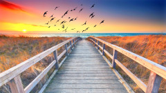 阳律躲过阴司不饶石匠打磨要磨他(图)