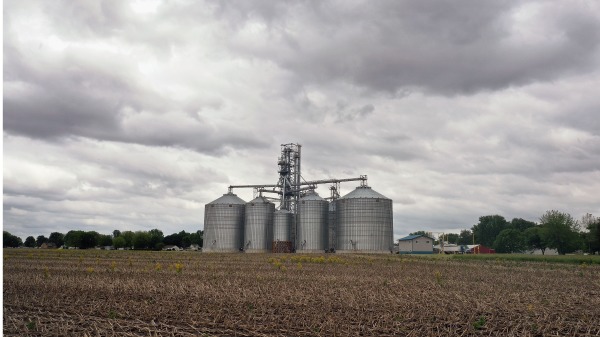 伊利諾伊州的農田。（Scott Olson/Getty Images）