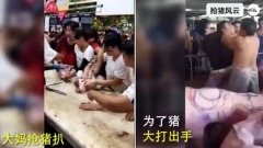 猪价翻倍涨大陆民众终于对非洲猪瘟有感(图)