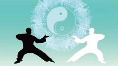 民间高人一伸手太极奇招让人无处可逃(图)